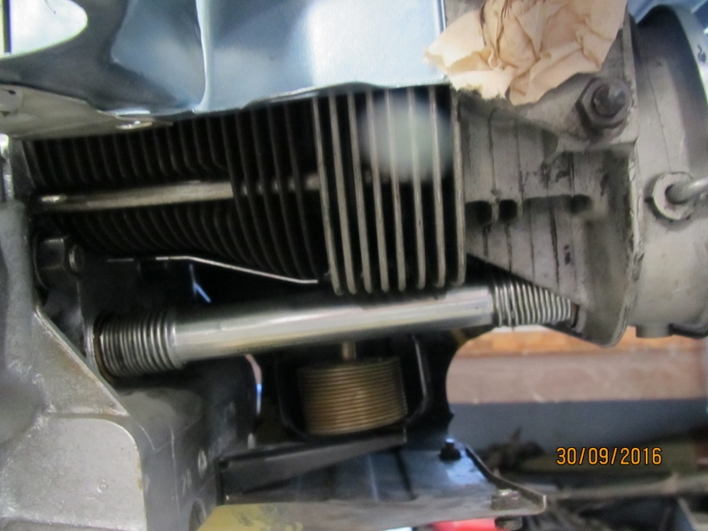 IMG_6301 (800x600).jpg, 216.49 kb, 800 x 600