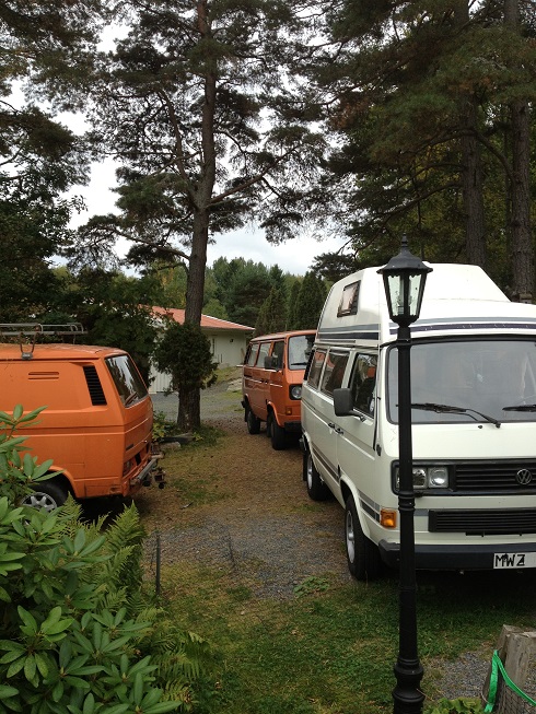 IMG_1333.JPG, 189.16 kb, 490 x 653