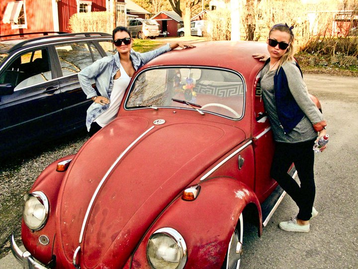 moggesride.jpg, 125.85 kb, 720 x 540