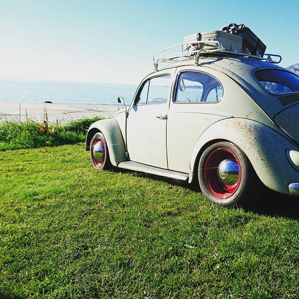 16788023_10154385850210753_384095501_n.jpg, 208.21 kb, 960 x 960