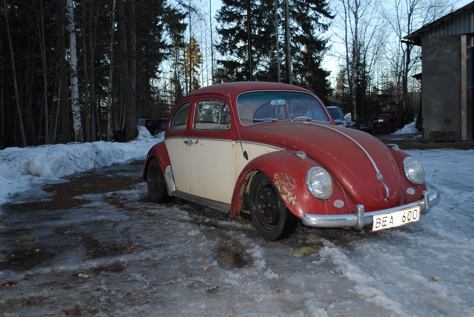 Bea_1.jpg, 322.31 kb, 968 x 648