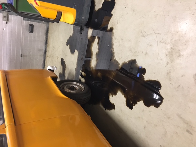 Olja2.JPG, 87.04 kb, 640 x 480