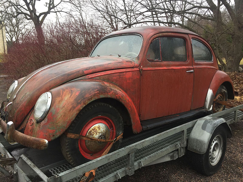 Agave.jpg, 526.98 kb, 850 x 638