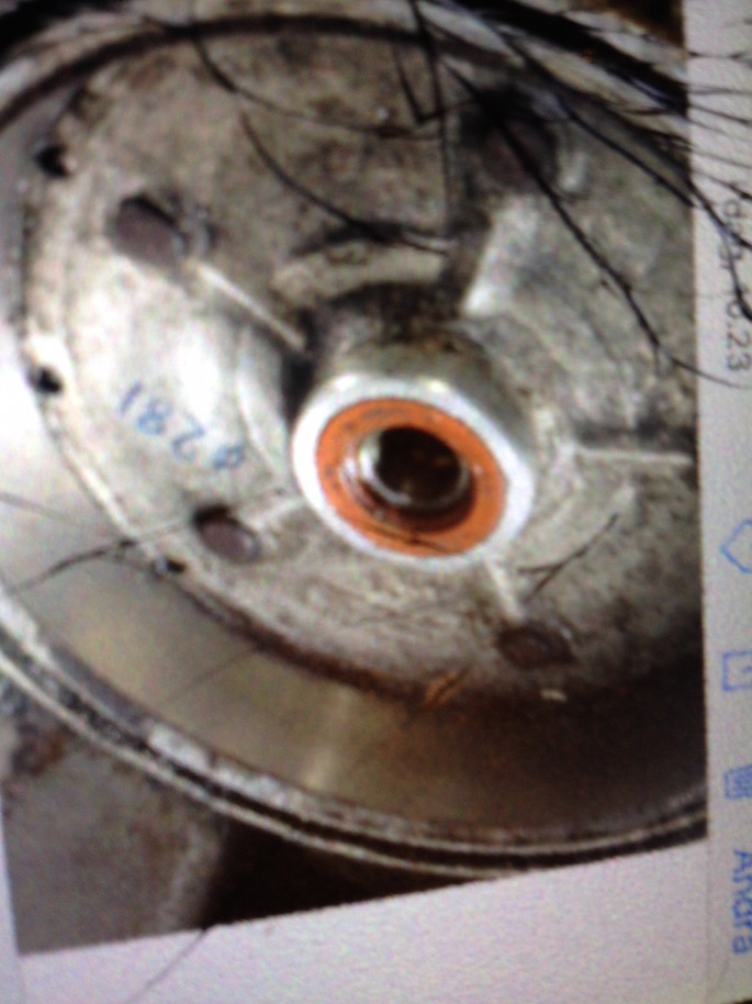 IMG_1079.jpg, 141.52 kb, 685 x 914