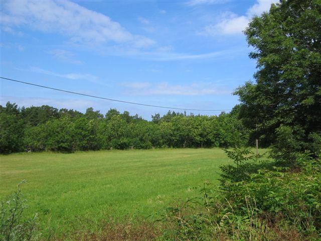 Robbans tomt 016 (4).jpg, 65.56 kb, 640 x 480