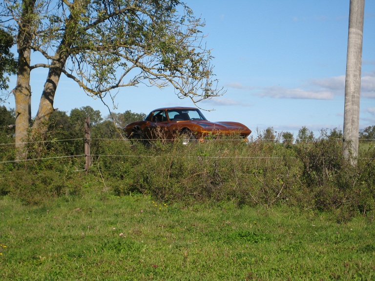 Liten skogssmygare.jpg, 258.78 kb, 768 x 576