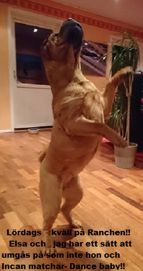 Liten vecka 10.jpg, 57.29 kb, 293 x 554