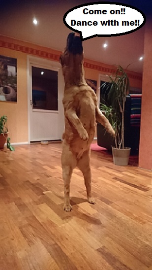 Liten vecka 11.jpg, 97.97 kb, 309 x 548