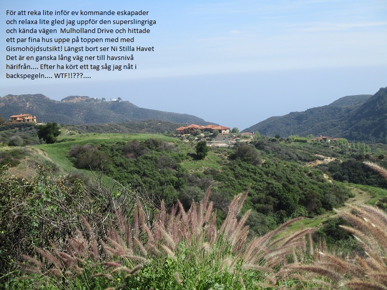 Liten vecka 12.jpg, 246.08 kb, 773 x 580