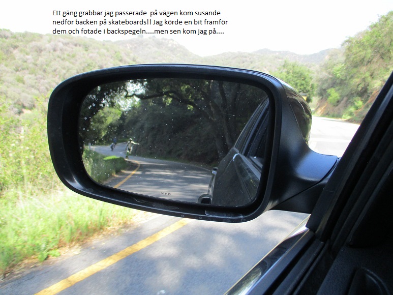 Liten vecka 13.jpg, 167.52 kb, 773 x 580