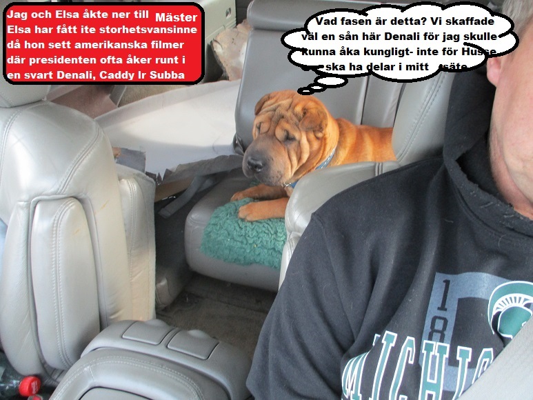 Liten Boxsterville Påsk 2.jpg, 183.91 kb, 773 x 580