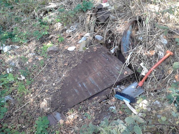 dh1 (1).jpg, 127.73 kb, 570 x 428