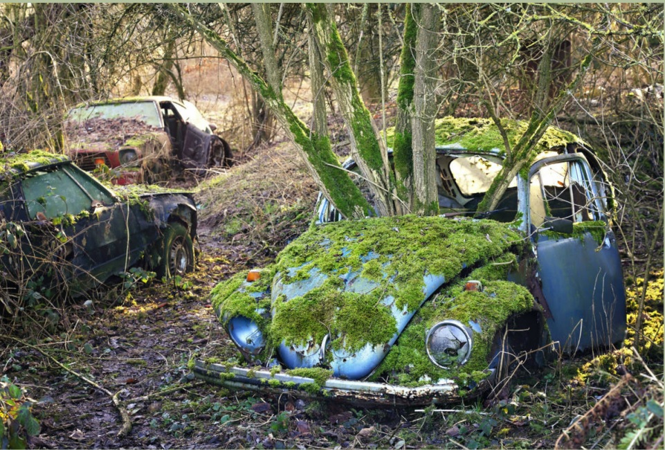 Skogs bubbla.jpg, 369.92 kb, 961 x 650