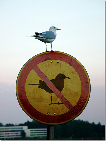 image_3.png, 319.61 kb, 367 x 487