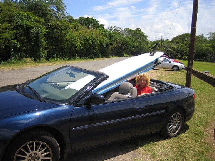 LIten Bosterville-board.jpg, 159.82 kb, 731 x 548