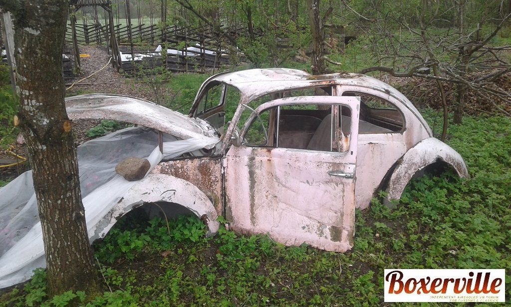 20170508_085608.jpg, 354.15 kb, 1024 x 615