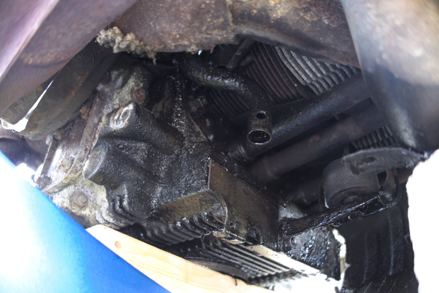 DSC03527.jpg, 131.35 kb, 900 x 601