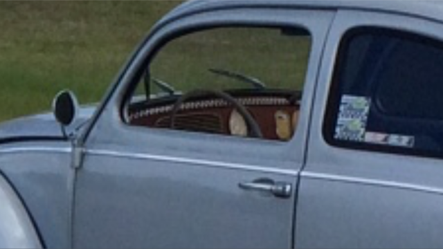 image1.PNG, 283.46 kb, 640 x 360