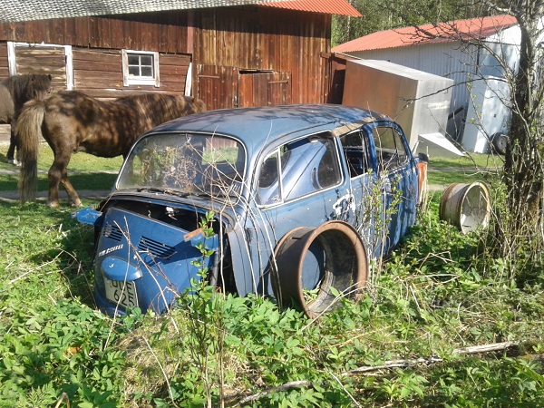 20170520_162742.jpg, 192.07 kb, 600 x 450