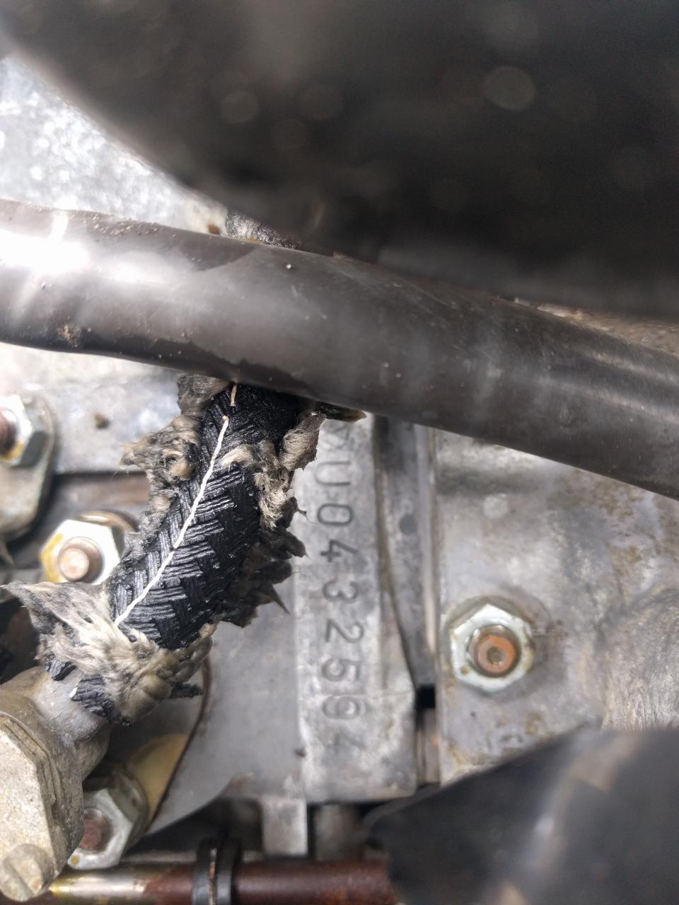 rps20170528_104853.jpg, 113.62 kb, 960 x 1280