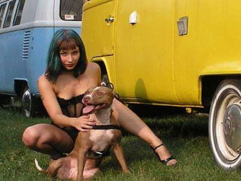 320.jpg, 110.76 kb, 800 x 600