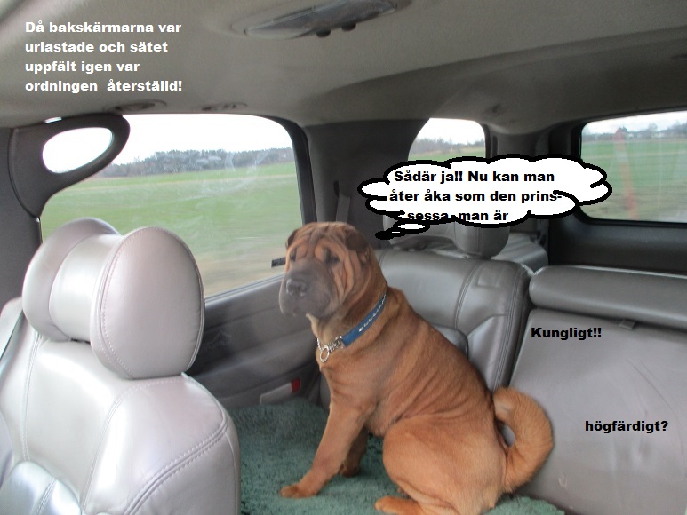 Liten vecka 26.jpg, 139.63 kb, 773 x 580