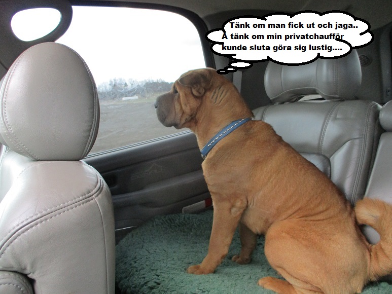 Liten vecka 27.jpg, 157.89 kb, 773 x 580