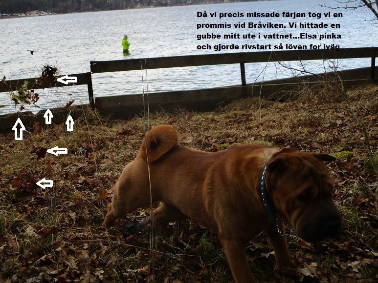 Liten vecka 28.jpg, 252.39 kb, 773 x 580