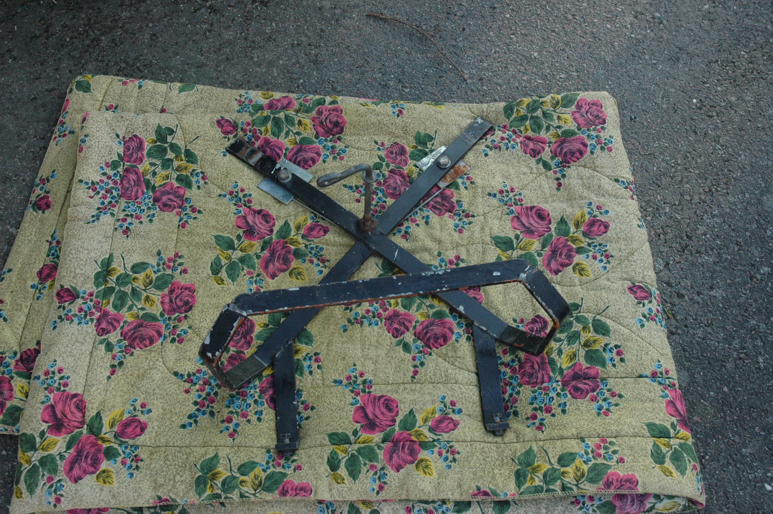 DSC_0338.jpg, 822.67 kb, 1504 x 1000