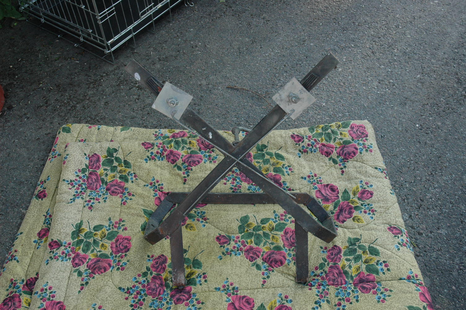 DSC_0337.JPG, 404.97 kb, 1504 x 1000