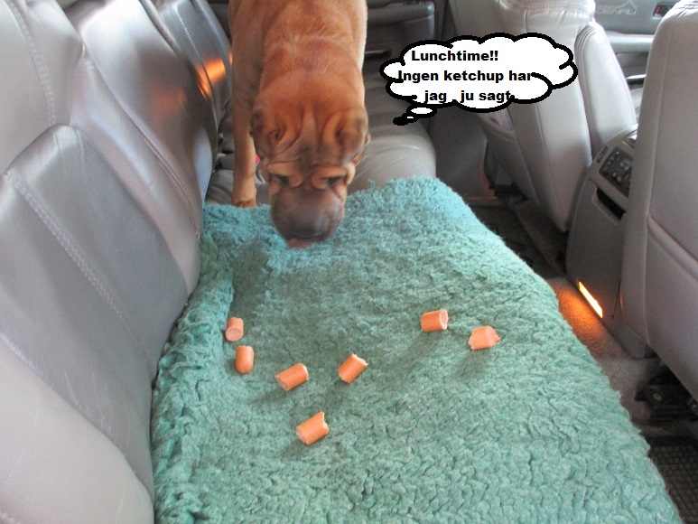 Liten vecka 29.jpg, 173.92 kb, 773 x 580