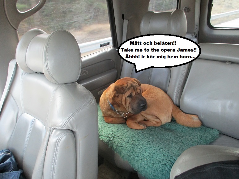 LIten vecka 30.jpg, 162.33 kb, 773 x 580