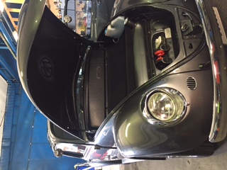 IMG_3283.JPG, 40.38 kb, 320 x 240