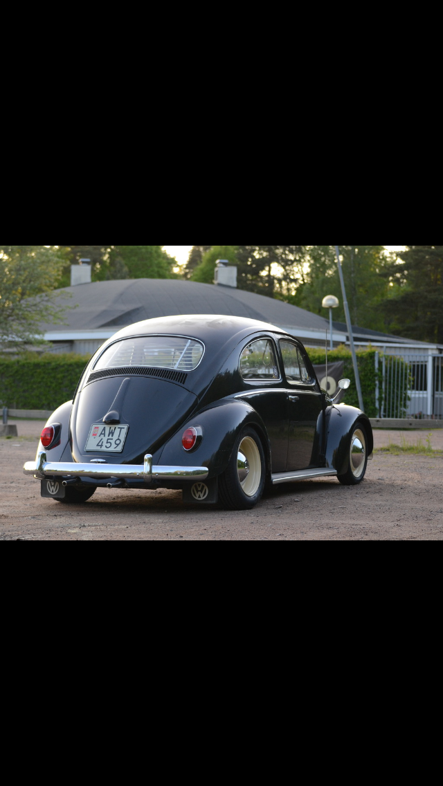 IMG_6702.PNG, 709.08 kb, 640 x 1136