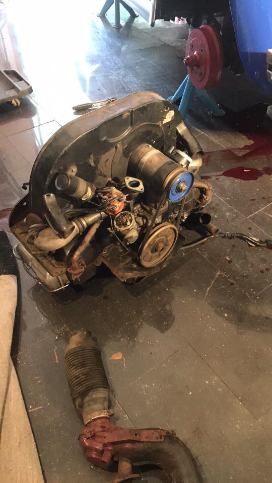 19030752_10156197842104692_249110437658869235_n.jpg, 61.62 kb, 540 x 960