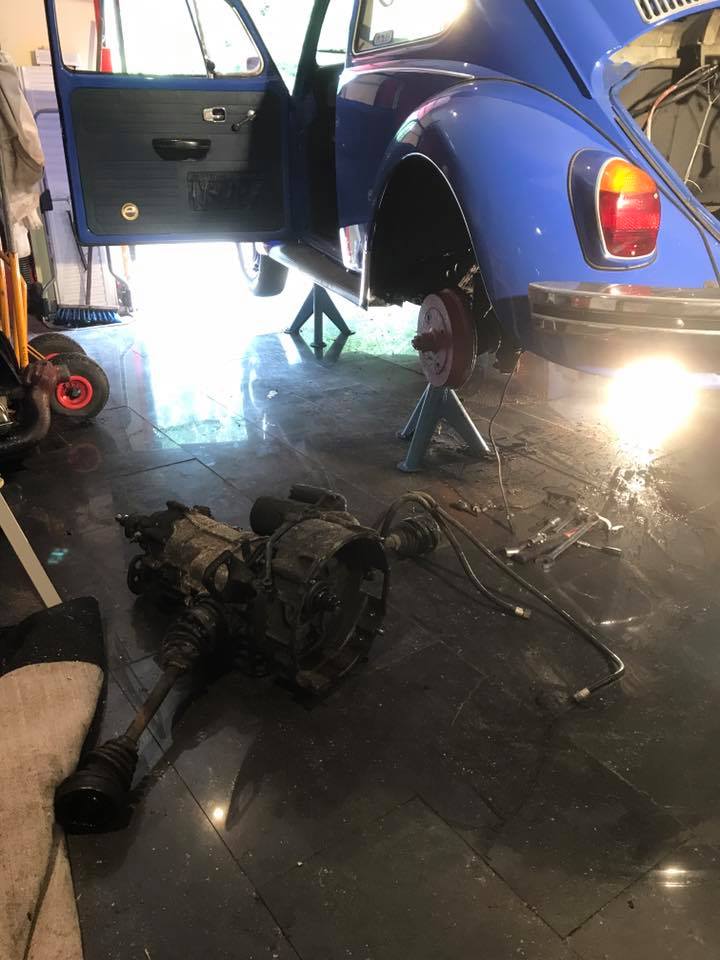 19113585_10156202504244692_563207903594024306_n.jpg, 74.35 kb, 720 x 960