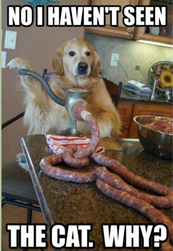 Furry wurst.jpg, 134.66 kb, 581 x 841