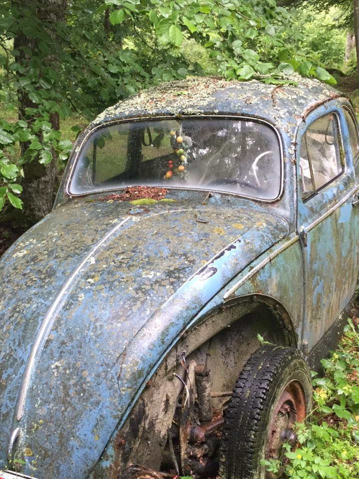 19264800_10213465416849206_1989593630_n.jpg, 174.59 kb, 720 x 960