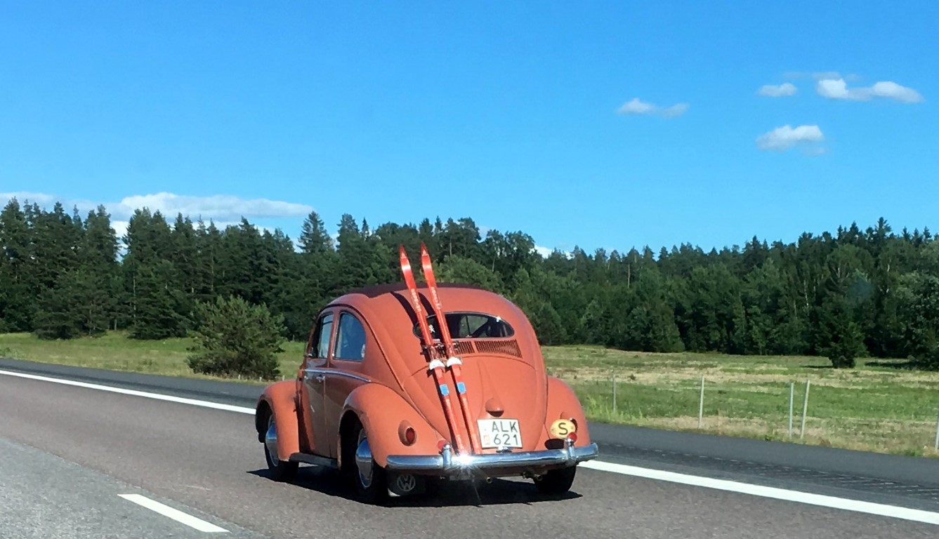 IMG_5293b (Medium).JPG, 199.25 kb, 1337 x 768