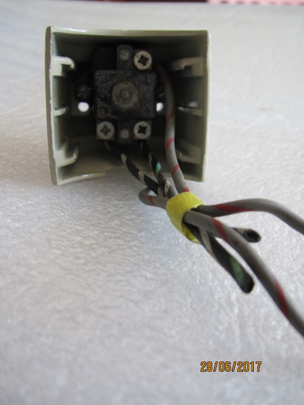 IMG_7056 (600x800).jpg, 175.85 kb, 600 x 800