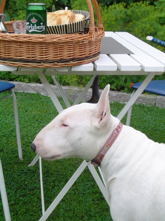 552_semester%20025.jpg, 105.42 kb, 552 x 736