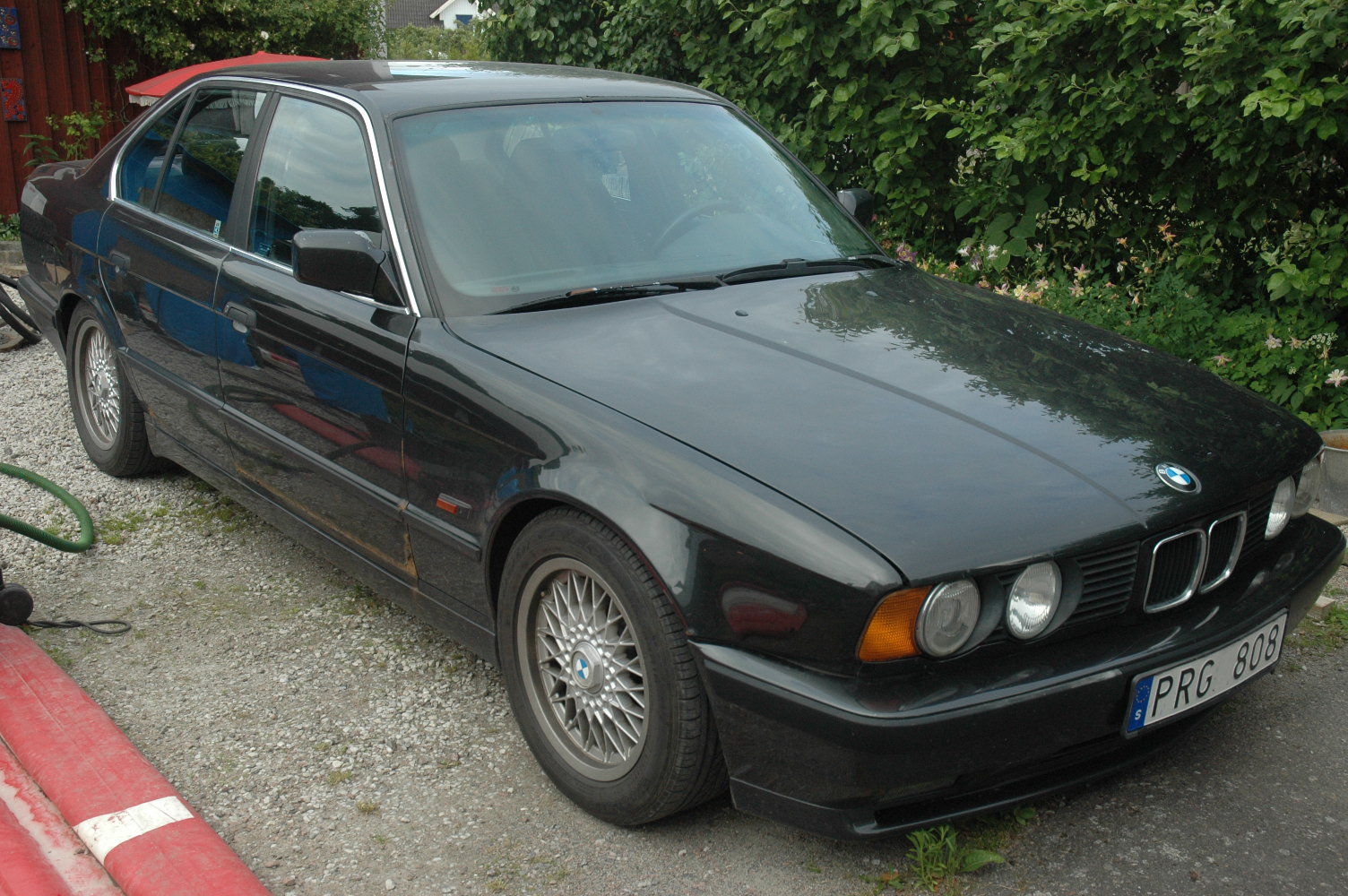 DSC_0359.JPG, 406.44 kb, 1504 x 1000