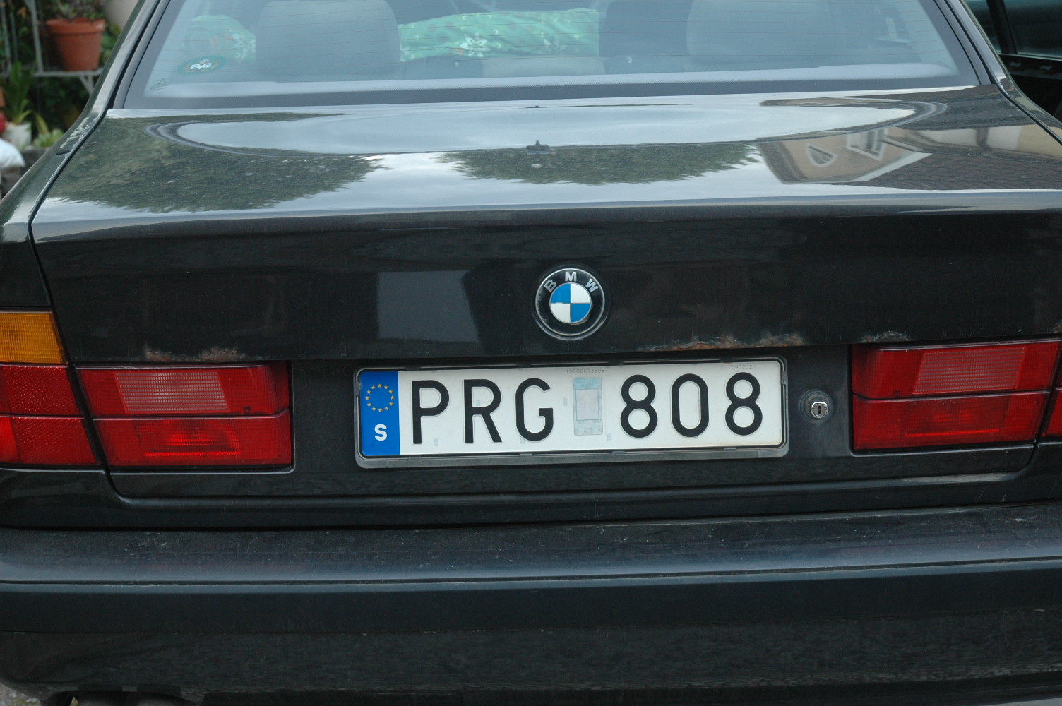 DSC_0363.JPG, 338.53 kb, 1504 x 1000