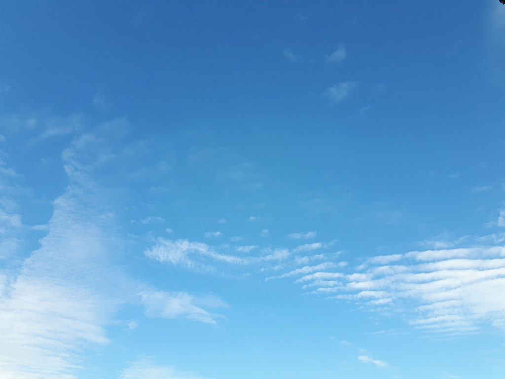 20170708_084641.jpg, 115.37 kb, 1024 x 768