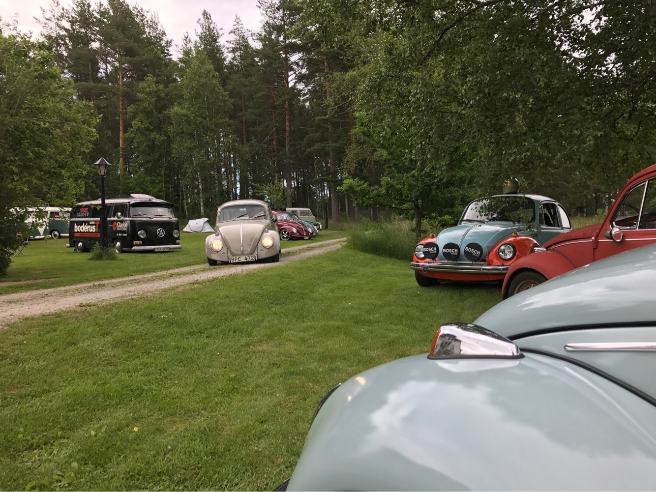 IMG_2135.JPG, 460.45 kb, 1334 x 1001