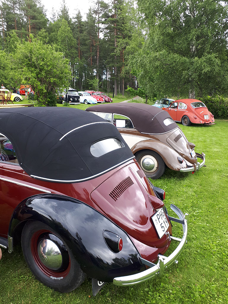 20170708_133340.jpg, 335.36 kb, 768 x 1024