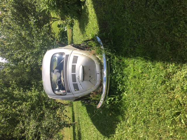 IMG_6820.JPG, 135.3 kb, 640 x 480