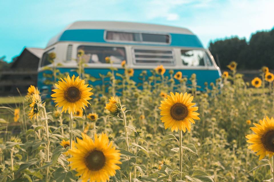 20106446_1954516404792981_6169494518693550947_n.jpg, 79.98 kb, 960 x 640