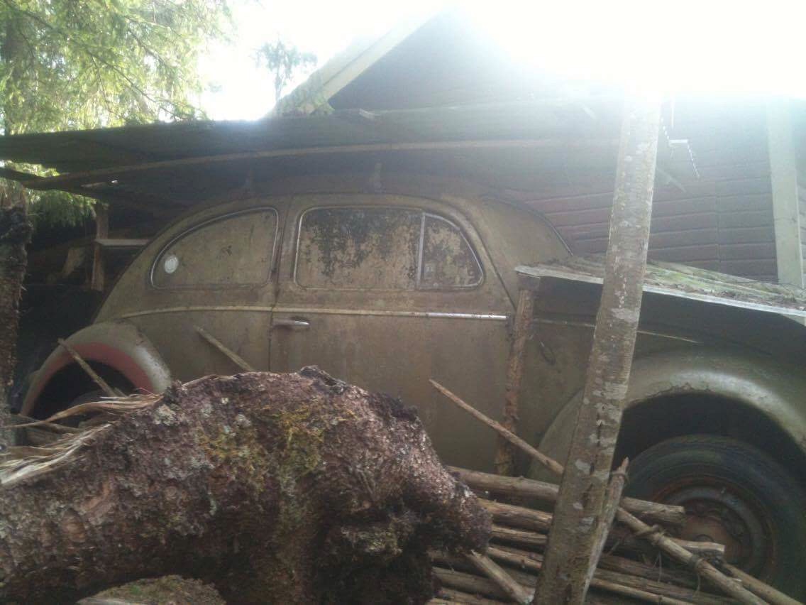 IMG_0105.JPG, 150.59 kb, 1136 x 852