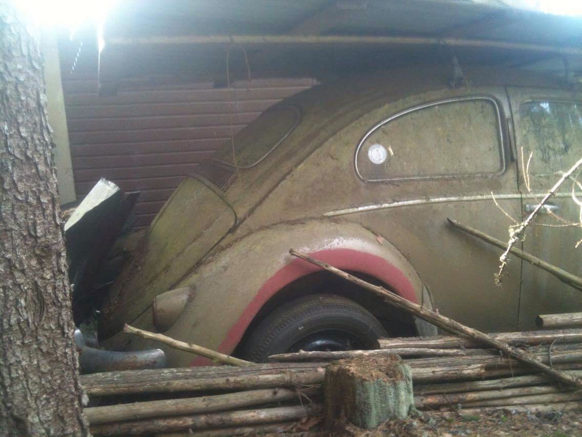 IMG_0104.JPG, 160.6 kb, 1136 x 852